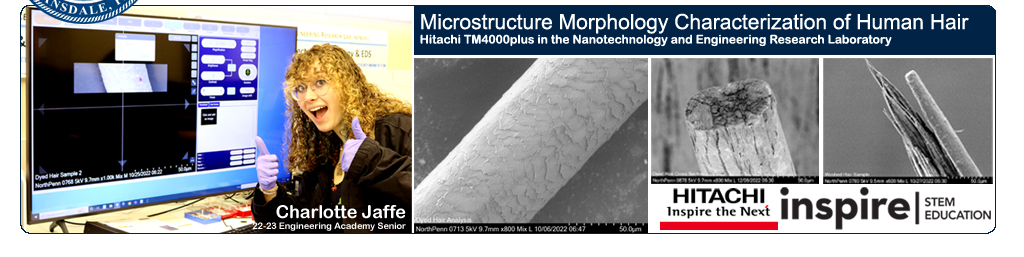 Microstructure Morphology Characterization of Human Hair