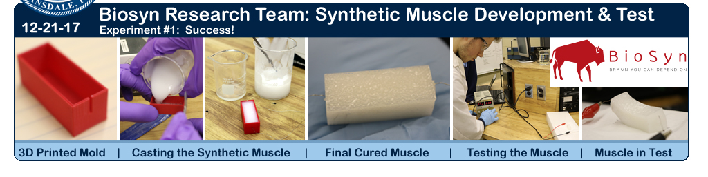 Biosyn Synthetic Muscle Development